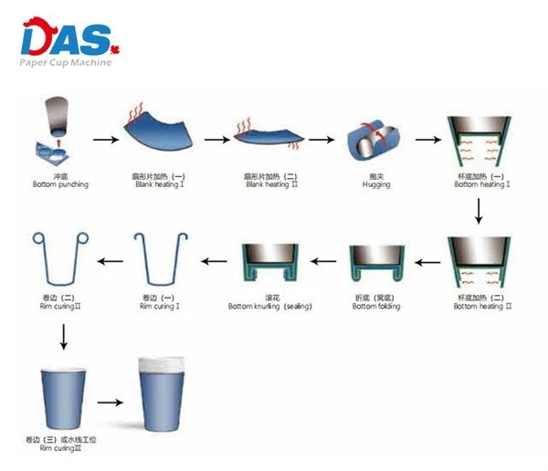 Process of DAS cup forming machine
