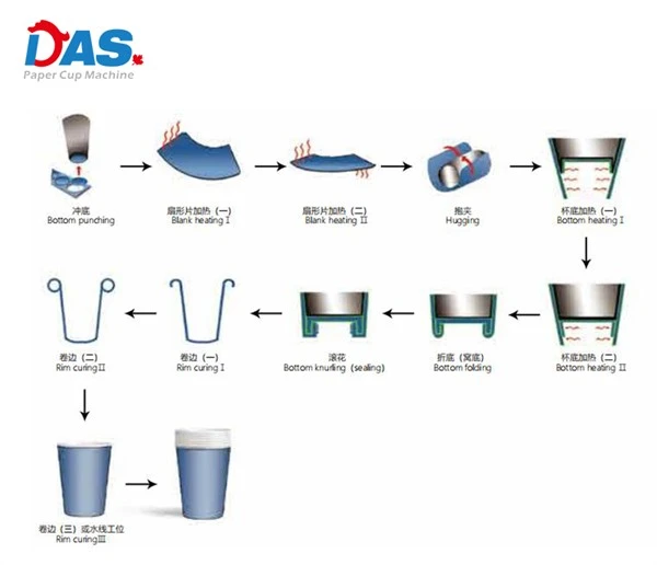 The working steps of DAS paper cup machine The working steps of DAS paper cup machine